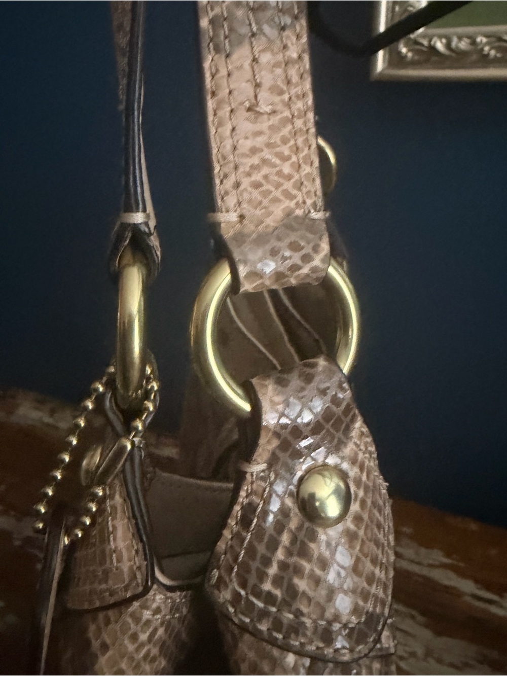 Coach Python Embossed Hobo Bag - Picture 6 of 11